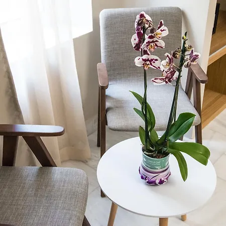 King Hotel Athens